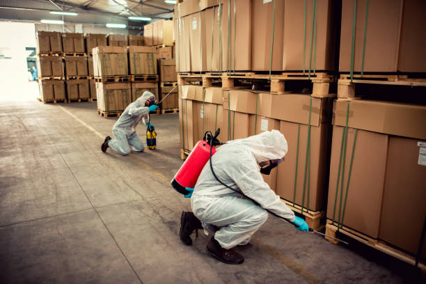Best Exterminator Services  in Mitchell, SD