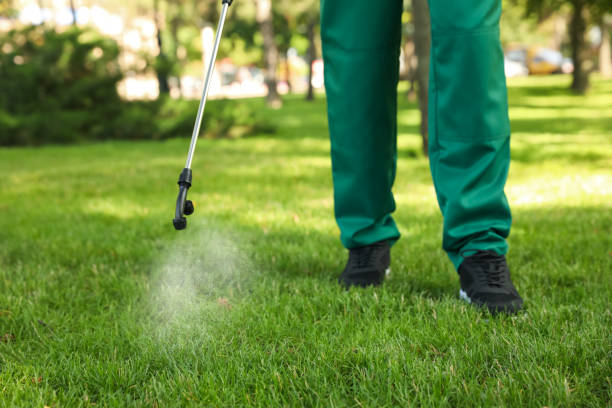 Best Bed Bug Extermination  in Mitchell, SD