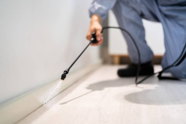 Best Wasp Removal Services  in Mitchell, SD