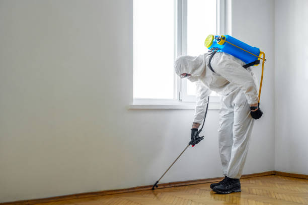 Trusted Mitchell, SD Pest Control Experts