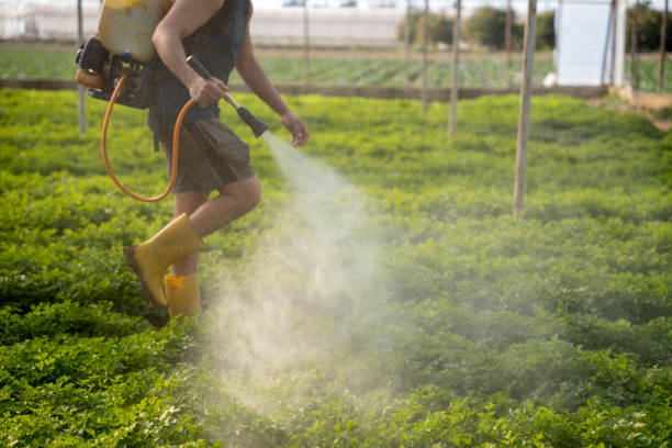 Best Wildlife Control Services  in Mitchell, SD