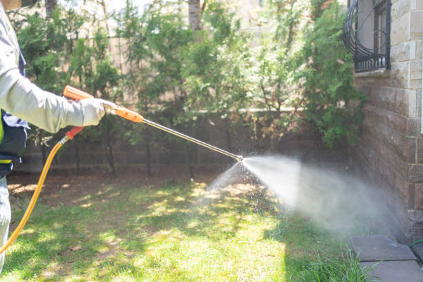Best Affordable Pest Control Services  in Mitchell, SD