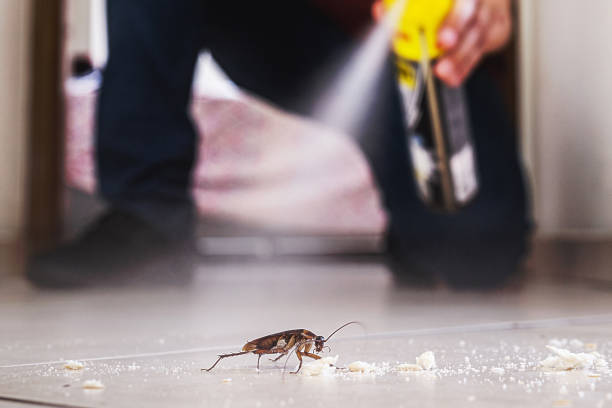 Best Best Pest Control Companies  in Mitchell, SD