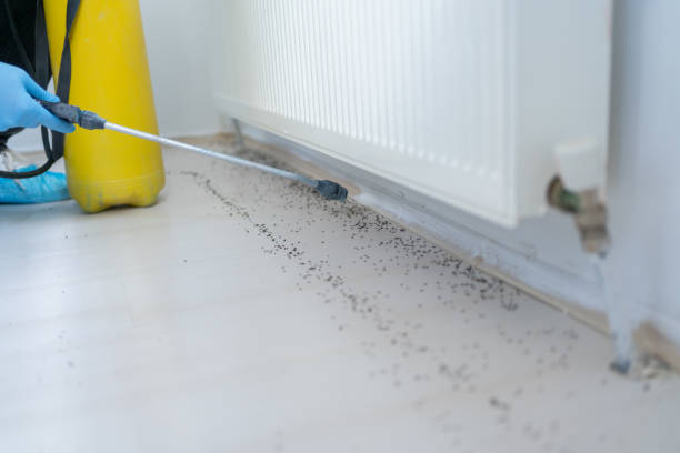Best Cockroach Control Services  in Mitchell, SD