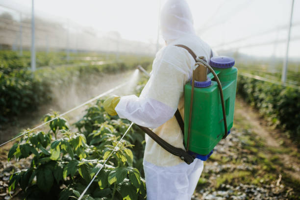 Best Termite Control Services  in Mitchell, SD